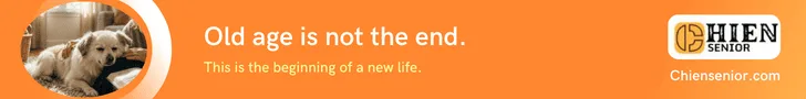 Old age is not the end.