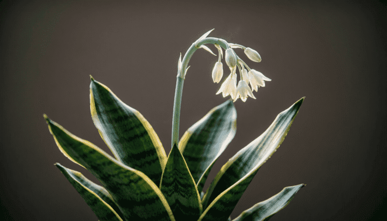 watercolor scene: a tall snake plant in a woven basket with a thin flower stalk rising from the center, tiny white-green buds opening at night, soft moonlight through window. Journal nearby with note: "Day 1 - It bloomed." Bottom right: "growitindoor.com" with leaf logo. --v 6.0 --ar 16:9 --style raw