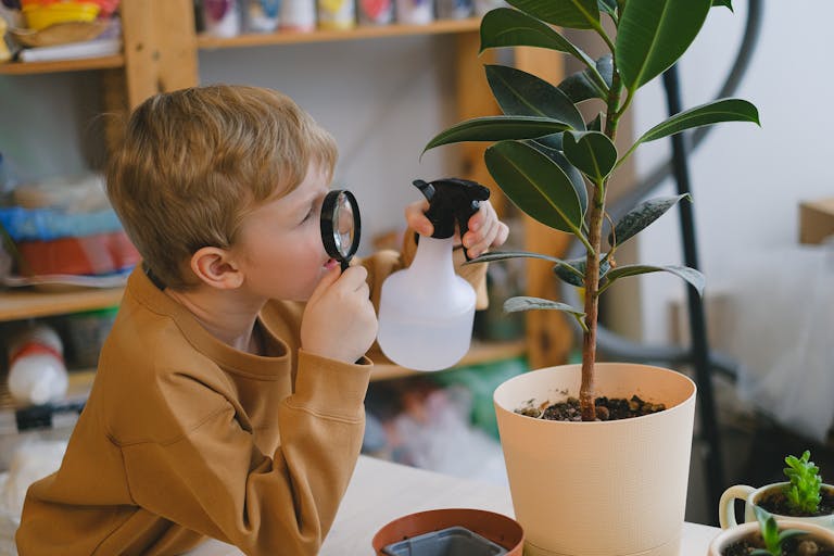Indoor plants connected to a DIY wicking system before a vacation, with suitcase and calendar showing travel dates.
