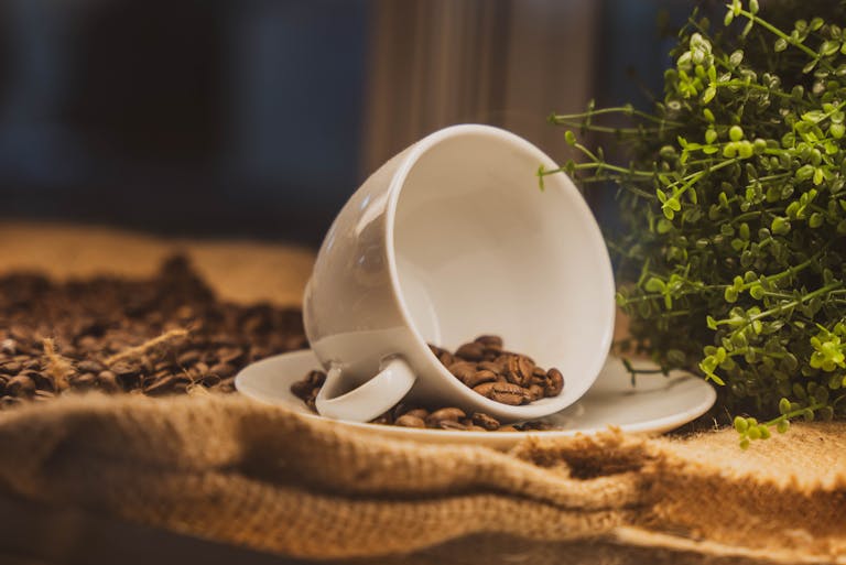 Rustic still life of coffee beans in a ceramic cup with greenery, perfect for warm, cozy themes.