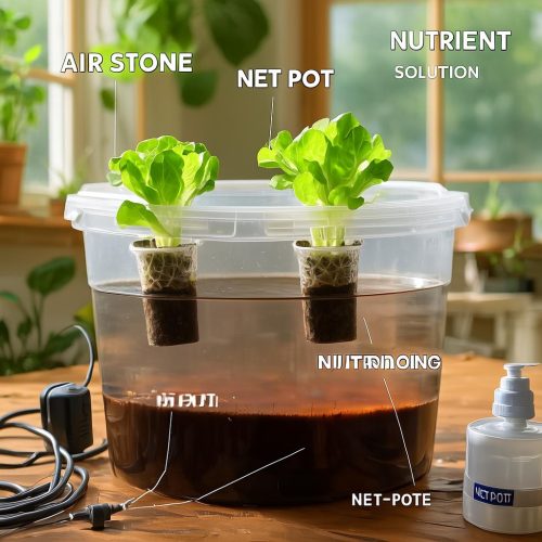 How to Grow Lettuce in a 5-Gallon Bucket : Easy DIY Hydroponic