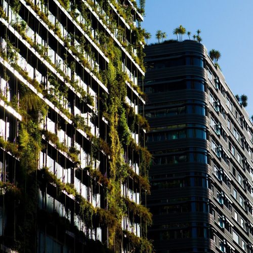 Vertical Garden for Balcony: 10 Space-Saving Ideas to Grow More in Less Space